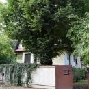 Zespół Willi, Legnica ul. Kościuszki 43