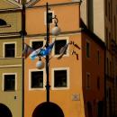 Rynek 31 (Legnica)