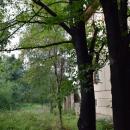 Ogród Willi, Legnica ul. Kościuszki 41