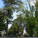 Ogród Willi, Legnica ul. Kolbego 12