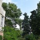 Willa, Legnica ul. Konopnickiej 2 (VIII)