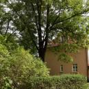 Ogród Willi, Legnica ul. Grabskiego 34